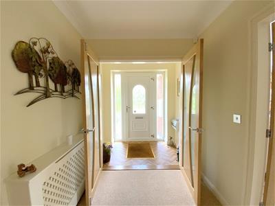 Picture 11